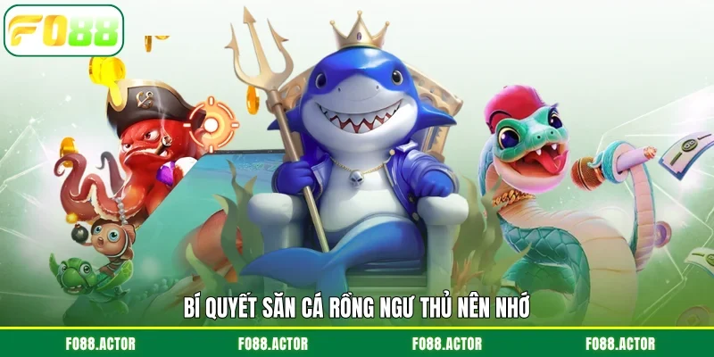 Bí quyết săn cá rồng ngư thủ nên nhớ