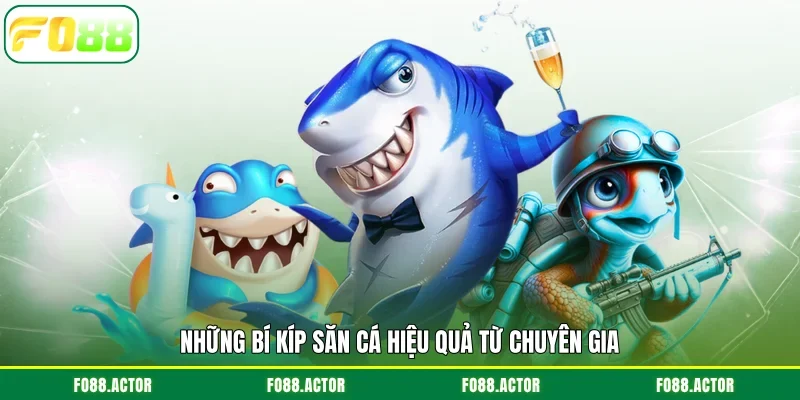 Những bí kíp săn cá hiệu quả từ chuyên gia